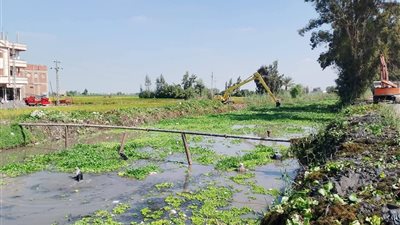 استجابة لما نشرته 