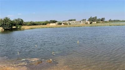 حقيقة فيضان النيل.. عباس شراقي ينفي غرق القرى: 