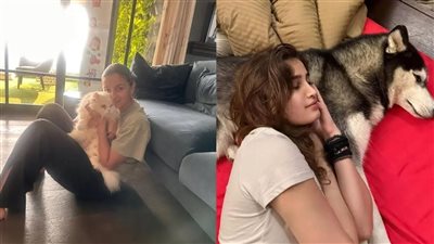 في اليوم العالمي للحيوان 2025.. ممثلو بوليوود يحتفلون بروابط قوية