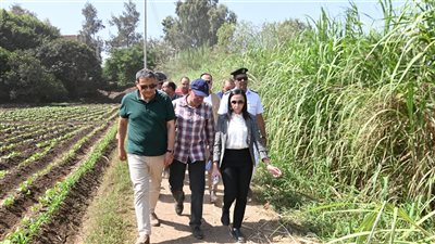 محافظ البحيرة تتفقد ارتفاع منسوب المياه بأراضي طرح النهر بكوم حمادة