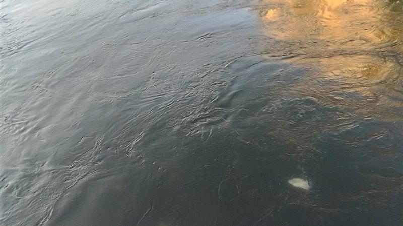 ارتفاع منسوب المياه