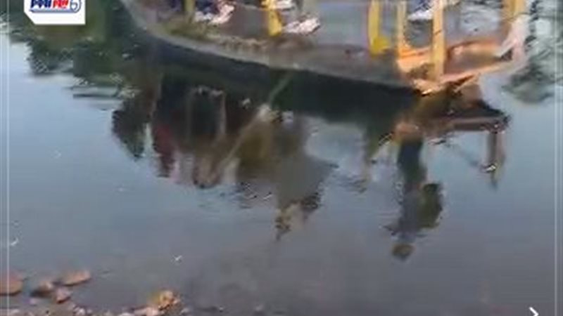 اطفال جزيرة مطيرة