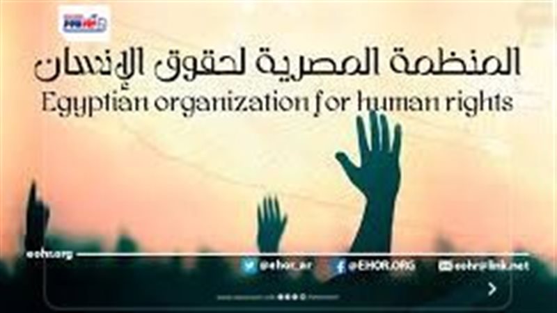 المنظمة المصرية لحقوق