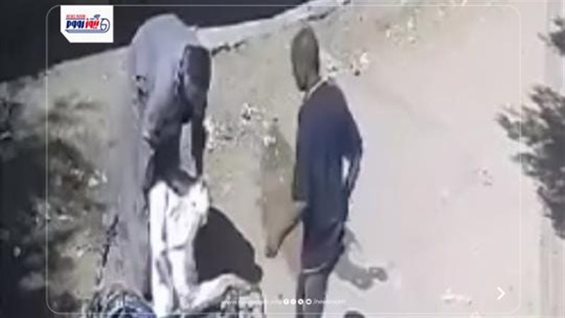 صورة من الواقعة بالمنيا