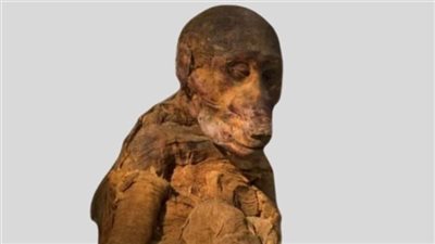 المتحف المصري يحتفل باليوم العالمي للحيوان من حضارة المصري القديم