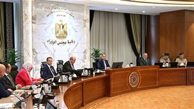 رئيس الوزراء يُتابع موقف مشروعات تطوير البُنى التحتية وأنظمة التأمين بالمطارات