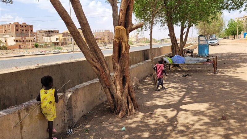 مدينة الفاشر