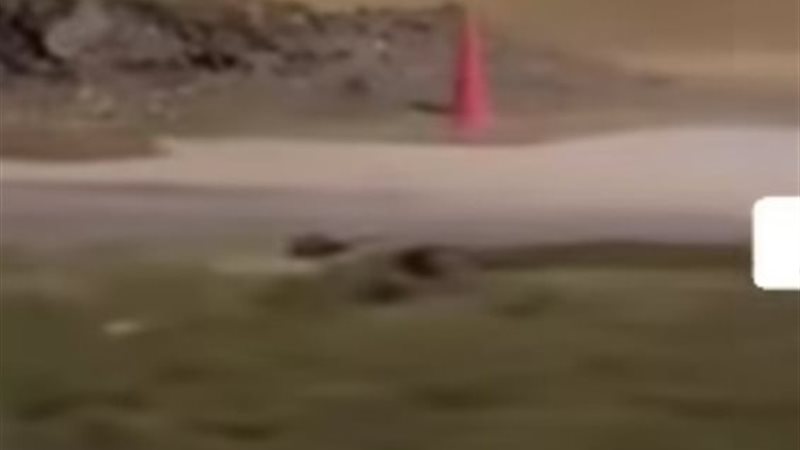 مكان الحادث