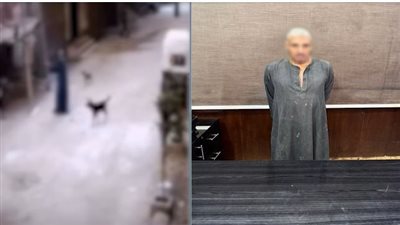 فيديو كلب الهرم يثير الغضب.. والتحقيق جارٍ مع حارس العقار 