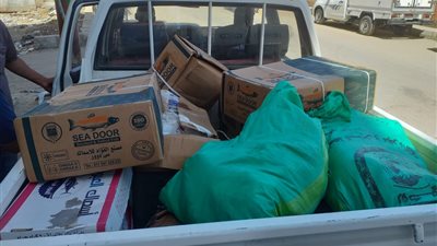 ضبط ربع طن لحوم وأسماك ودواجن فاسدة داخل ثلاجة مجمدات بمدينة الأقصر