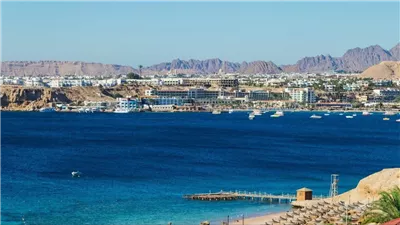 منة فاروق: مشاورات بين وفدي حماس وإسرائيل وسط تفاؤل حذر  