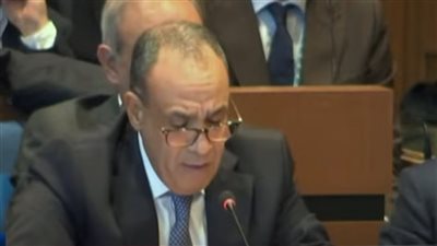 وزير الخارجية: ناقشنا عقد مؤتمر دولي للتعافي المبكر وإعادة إعمار غزة 