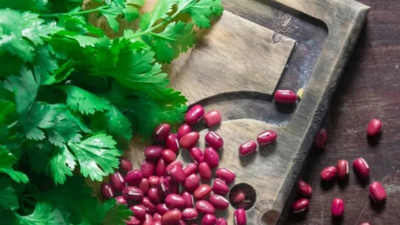 الفاصولياء الحمراء