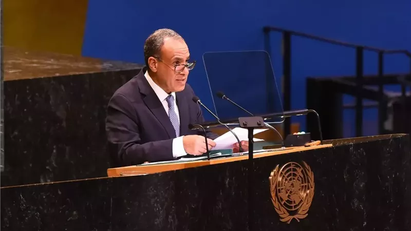 وزير الخارجية د.