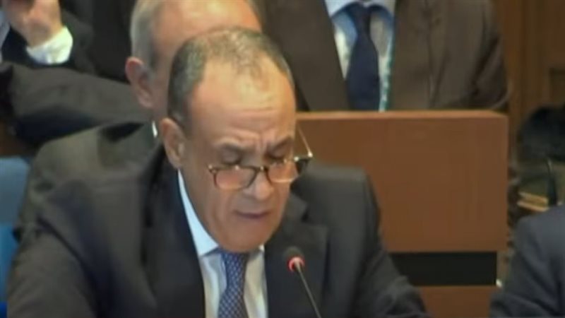 وزير الخارجية والهجرة