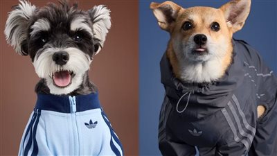 أديداس تُطلق أول كوليكشن خريفي للحيوانات الأليفة في الصين