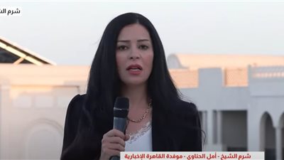أمل الحناوي: التنسيق المصري القطري حاضر بقوة في المفاوضات الحالية 