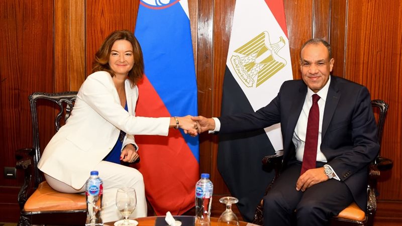 وزير الخارجية ونائبة