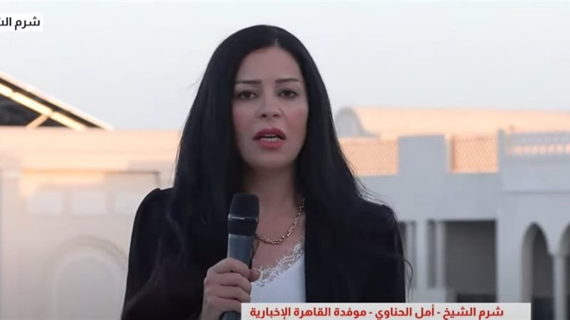 أمل الحناوي