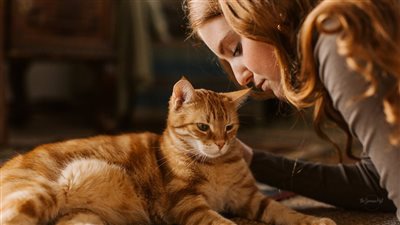  45% من النساء سيعشن عازبات وبلا أطفال بحلول عام 2030