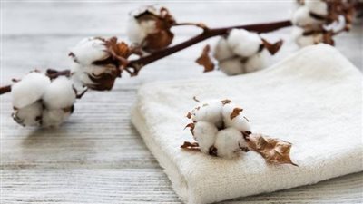 اليوم العالمي للقطن.. نصائح مهمة عند شراء ملابس جديدة