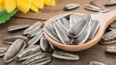 اللب السوري.. تسالي لذيذة وفوائد مفاجئة عند الاعتدال 