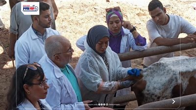تحصين25795 رأس ماشية ضد مرض الحمى القلاعية والوادي المتصدع بالفيوم