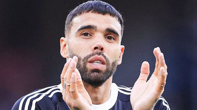 ديفيد رايا
