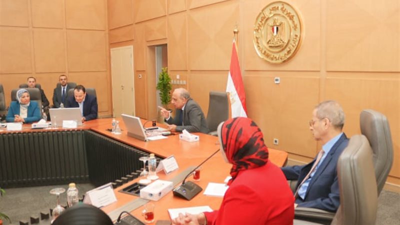وزير الكهرباء