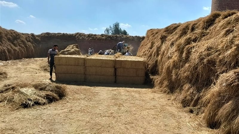 محافظة البحيرة تواصل