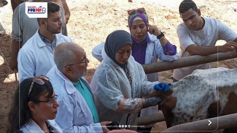 تحصين ماشية