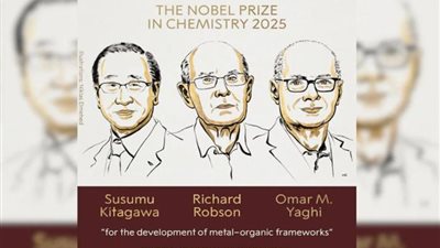 بعد فوز الـ3 علماء.. ما هو الإنجاز الذي استحق جائزة نوبل للكيمياء؟ 