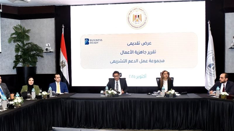 مصر تواصل جهودها
