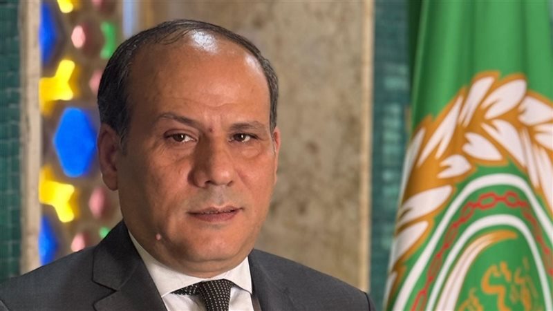 المستشار أيمن عامر