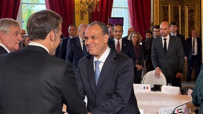 وزير الخارجية امام اجتماع باريس: خطة ترامب أساس جيد لإنهاء حرب غزة