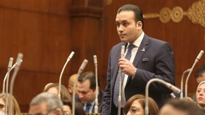 النائب عمرو فهمي: نجاح الوساطة المصرية في إنهاء حرب غزة إنجاز تاريخي 