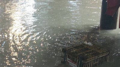 تصريحات فشنك.. غرق العجمي في مياه الأمطار خلال نصف ساعة 