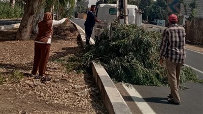 جهاز التطوير والتجميل يواصل رفع كفاءة مداخل ومخارج الإسماعيلية