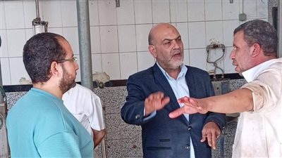 وكيل بيطري القليوبية يتفقد مجزر طوخ للتأكد من صلاحية اللحوم ومتابعة الإجراءات 