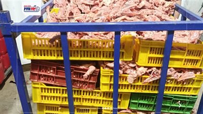 ضبط طن دواجن مقطعة بدون علامات أو بيانات وسلع غذائية منتهية الصلاحية بالفيوم