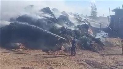 حريق يلتهم شونة قش أرز في كفر الشيخ.. والحماية المدنية تتدخل سريعًا