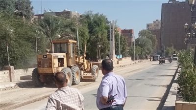 محافظ أسيوط: حملات مكثفة بالغنايم لرفع 66 طن مخلفات وزراعة الأشجار 