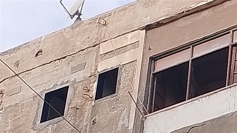 صوره العمارة