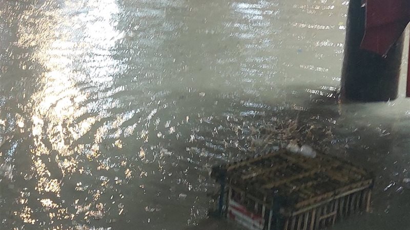 غرق الإسكندرية في