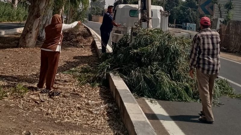 جهاز التطوير والتجميل