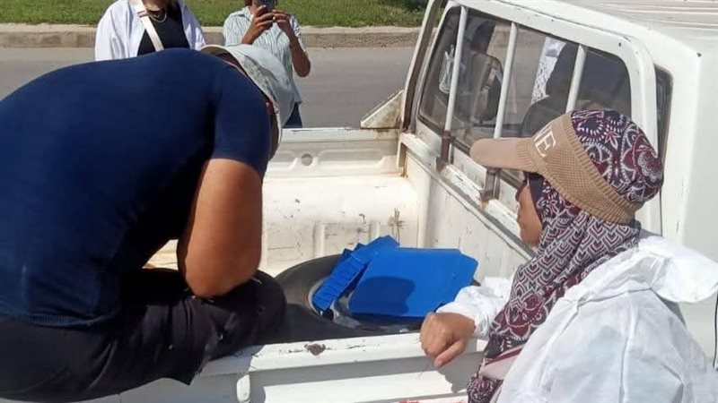 حملة لتحصين الكلاب