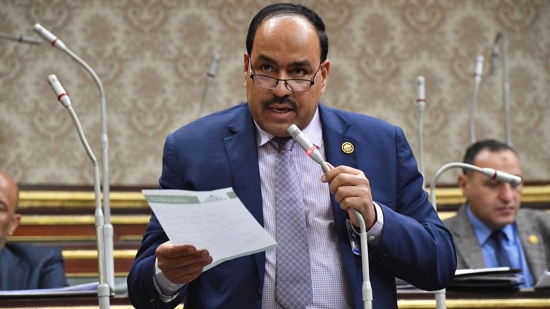 النائب أحمد عبد السلام