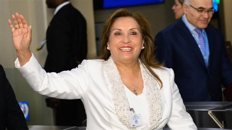 دينا بولوارت