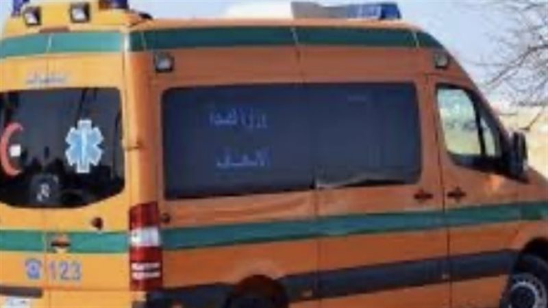 ارشيفية