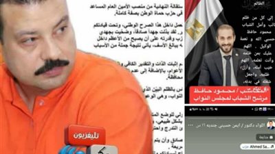 حماة وطن بالشرقية على صفيح ساخن.. استقالات جماعية وحالة غضب تفاصيل أزمة الحزب